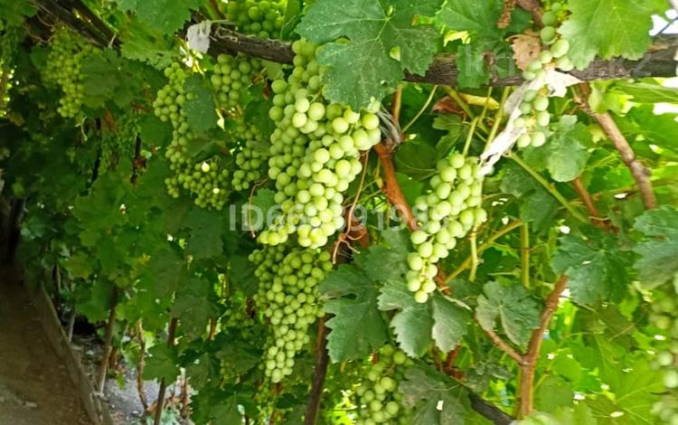 Дача · 4 комнаты · 63 м² · 40 сот., Вишнёвая 98 — Электрик за 7.2 млн 〒 в  — фото 71