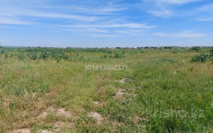 Жер телімі · 0.12 га, Құмарал, бағасы: 3 млн ₸ в  — фото 4