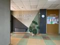 4-бөлмелі пәтер · 135 м² · 23/25 қабат, Абиша Кекилбайулы 270, бағасы: 108 млн ₸ в Алматы, Бостандыкский р-н — фото 37