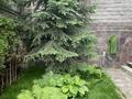 Жеке үй · 6 бөлме · 282.7 м² · 6.5 жүзд., Тау Самал ш/а., Улар 10, бағасы: 340 млн ₸ в Алматы, Медеуский р-н — фото 32