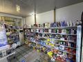 Магазины и бутики · 200 м² за 1 млн ₸ в Алматы — фото 9