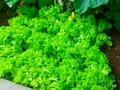 5-бөлмелі пәтер · 150 м² · 1/2 қабат, Ауэзова 79, бағасы: 40 млн ₸ в Экибастузе — фото 75