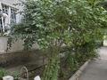 2-бөлмелі пәтер · 44 м² · 3/4 қабат, Саина 20, бағасы: 245 000 ₸ в Алматы, Ауэзовский р-н — фото 18