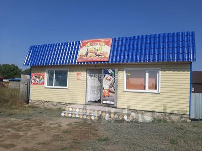 Дүкендер мен бутиктер · 50 м², бағасы: 8 млн ₸ в Бишкуле (Бесколь)