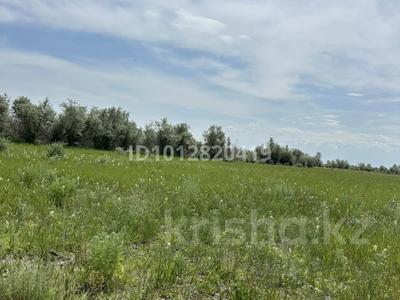 Участок · 81 га, Байсерке за ~ 129 млн ₸