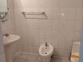 Жеке үй · 4 бөлме · 250 м² · 6.5 жүзд., Набережная 127, бағасы: 60 млн ₸ в Карабулаке (п.Ключи) — фото 9