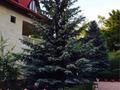 Отдельный дом · 11 комнат · 586 м² · 50 сот., Новая 1 за 200 млн ₸ в Шымбулаке