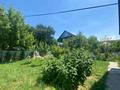 Отдельный дом · 4 комнаты · 175 м² · 7 сот., Тауке хан 4 — Абылай хан за 38 млн ₸ в  — фото 4