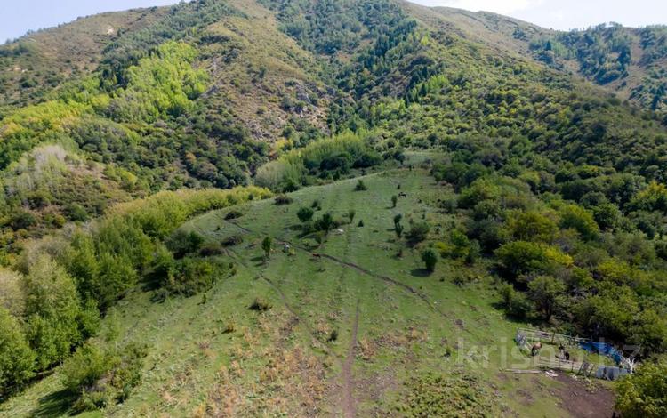 Участок · 3 га, мкр Нур Алатау за 485 млн ₸ в Алматы, Бостандыкский р-н — фото 2