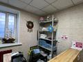 Жеке үй · 10 бөлме · 250 м² · 10 жүзд., Гагарина, бағасы: 88 млн ₸ в Акмоле — фото 40