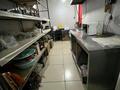 Жеке үй · 10 бөлме · 250 м² · 10 жүзд., Гагарина, бағасы: 88 млн ₸ в Акмоле — фото 42