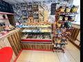Жеке үй · 10 бөлме · 250 м² · 10 жүзд., Гагарина, бағасы: 88 млн ₸ в Акмоле — фото 9