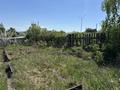 Участок · 16 соток, Лесная 1А за 15 млн ₸ в Новой бухтарме — фото 4