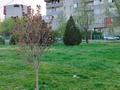 2-комнатная квартира · 63.3 м² · 6/6 этаж, мкр Кокжиек 31 — Напротив дома (маг. Жанель), а так же рядом с домом (маг. Дау-хат). за 30 млн ₸ в Алматы, Жетысуский р-н — фото 25