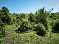 Участок · 7.2 га, Аль-Фараби за 160 млн ₸ в Талгаре — фото 14