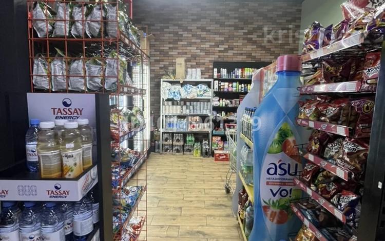 Продуктовый магазин готовый бизнес! · 176 м² за 28 млн ₸ в Астане, Сарайшык р-н — фото 2