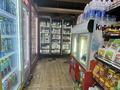 Продуктовый магазин готовый бизнес! · 176 м² за 28 млн ₸ в Астане, Сарайшык р-н — фото 10