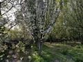 Отдельный дом · 4 комнаты · 72 м² · 8 сот., Момыш-Улы 224 за 27 млн ₸ в Шелек — фото 10