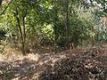 Отдельный дом · 3 комнаты · 100 м² · 8 сот., мкр Дархан, Ахметова 21 — Автомойка за 50 млн 〒 в Алматы, Алатауский р-н — фото 16