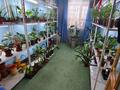 3-бөлмелі пәтер · 61.8 м² · 3/5 қабат, Каирбекова, бағасы: 21.5 млн ₸ в Костанае — фото 16
