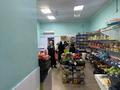Магазин Венера · 309.64 м² за 100 млн ₸ в Экибастузе — фото 13