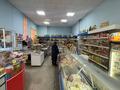 Магазин Венера · 309.64 м² за 100 млн ₸ в Экибастузе — фото 16