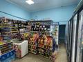 Магазин Венера · 309.64 м² за 100 млн ₸ в Экибастузе — фото 29