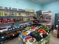 Магазин Венера · 309.64 м² за 100 млн ₸ в Экибастузе — фото 5