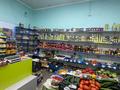 Магазин Венера · 309.64 м² за 100 млн ₸ в Экибастузе — фото 6