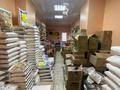 Магазин Венера · 309.64 м² за 100 млн ₸ в Экибастузе — фото 7