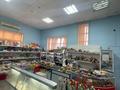 Магазин Венера · 309.64 м² за 100 млн ₸ в Экибастузе — фото 11