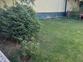 Отдельный дом · 7 комнат · 185 м² · 8 сот., Сарсенбаева — Микрорайон пахтакор за 56 млн ₸ в Шымкенте — фото 16