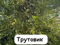 Дача • 2 комнаты • 64 м² • 10 сот., Южная 98 за 12 млн 〒 в Уральске — фото 11