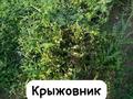 Дача • 2 комнаты • 64 м² • 10 сот., Южная 98 за 12 млн 〒 в Уральске — фото 15