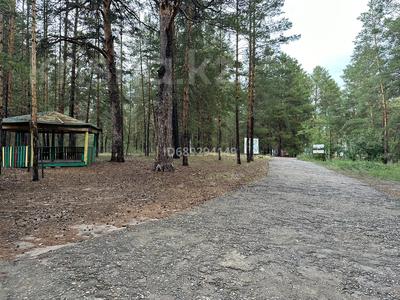Детский лагерь, 83000 м² за 200 млн 〒 в Зенковке