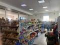Магазины и бутики • 1878 м² за 206 млн 〒 в Актобе — фото 2