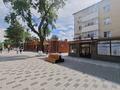 Магазины и бутики · 213.6 м² за 170 млн ₸ в Петропавловске — фото 5