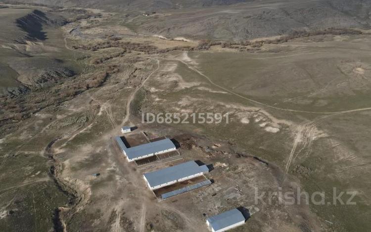 Сельское хозяйство • 1440 м² за 300 млн 〒 в Талдыкоргане — фото 2