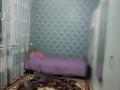 Отдельный дом · 6 комнат · 143 м² · 8 сот., мкр Туран 955 — Думан банянын боиында за 55 млн ₸ в Шымкенте, Каратауский р-н
