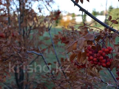Жеке үй · 5 бөлме · 208.4 м² · 100 жүзд., Джандильдинова 24, бағасы: 500 млн ₸ в Кокшетау