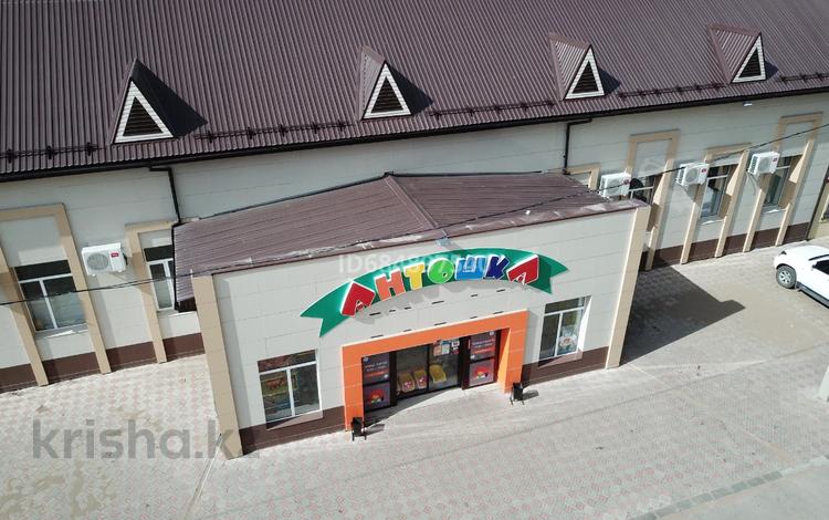 Свободное назначение • 550 м² за ~ 1.7 млн 〒 в Павлодаре — фото 2
