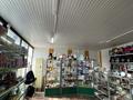 Свободное назначение, магазины и бутики • 70 м² за 400 000 〒 в Шымкенте, Аль-Фарабийский р-н — фото 10