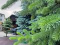 Отдельный дом · 7 комнат · 420 м² · 9 сот., мкр Нурлытау (Энергетик), Нур Алатау 1843 за 261 млн ₸ в Алматы, Бостандыкский р-н — фото 13