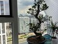 3-комнатная квартира · 75 м² · 19/19 этаж, Туран 57А — Район Барыс Арена за 64 млн ₸ в Астане, Нура р-н — фото 2