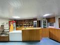 Действующий бизнес с историей с 1995 года · 1000 м² за 35 млн ₸ в Костанайской обл., Щербаково — фото 3