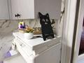 4 бөлме · 90 м², Жарокова 129 — Мынбаева, бағасы: 3 500 ₸ в Алматы, Бостандыкский р-н — фото 14