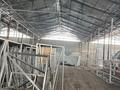 Қоймалар · 4000 м², бағасы: 4.5 млн ₸ в Туздыбастау (Калинино) — фото 2