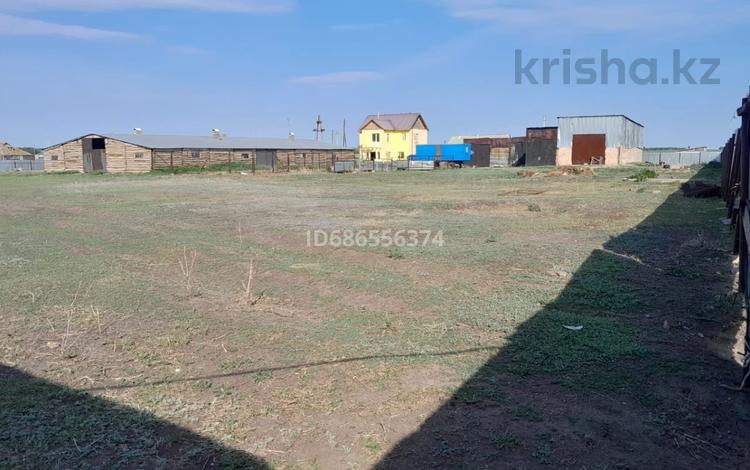 Свободное назначение, сельское хозяйство • 800 м² за 16 млн 〒 в Кокшетау — фото 2