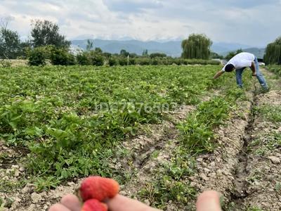 Участок · 60 соток, Каскелен за 14.7 млн 〒