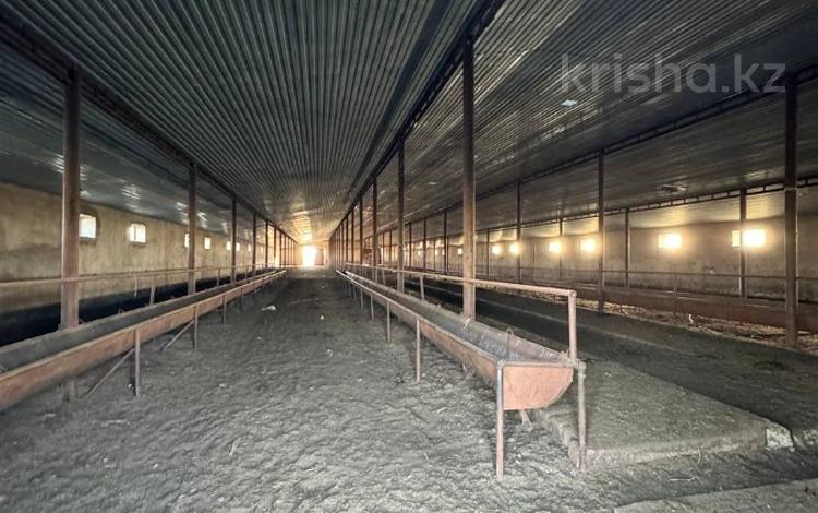 Промбаза · 30 га, Маржанбулак 490 за 680 млн ₸ — фото 6